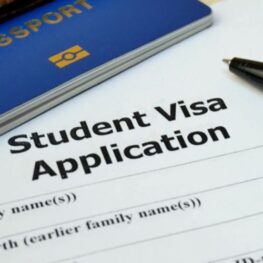 Visa Application Support